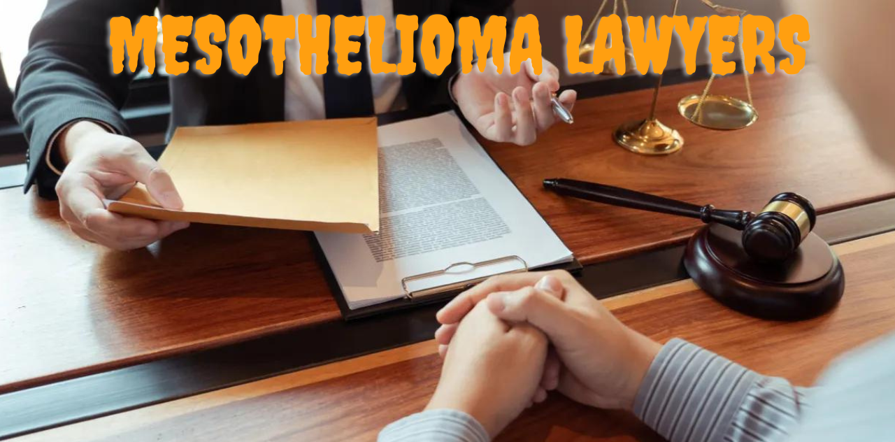 Expert Insight Understanding Mesothelioma Lawyers and Their Importance