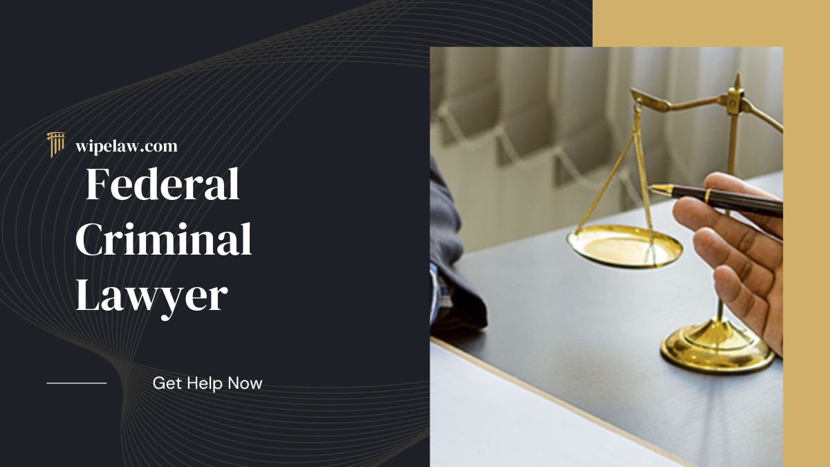 How a Expert Federal Criminal Lawyer Can Help You
