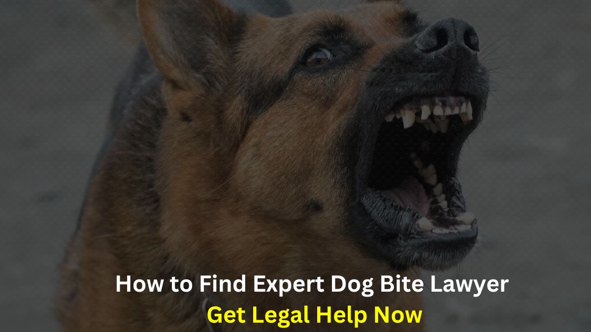 How to Find Expert Dog Bite Lawyer Get Legal Help Now