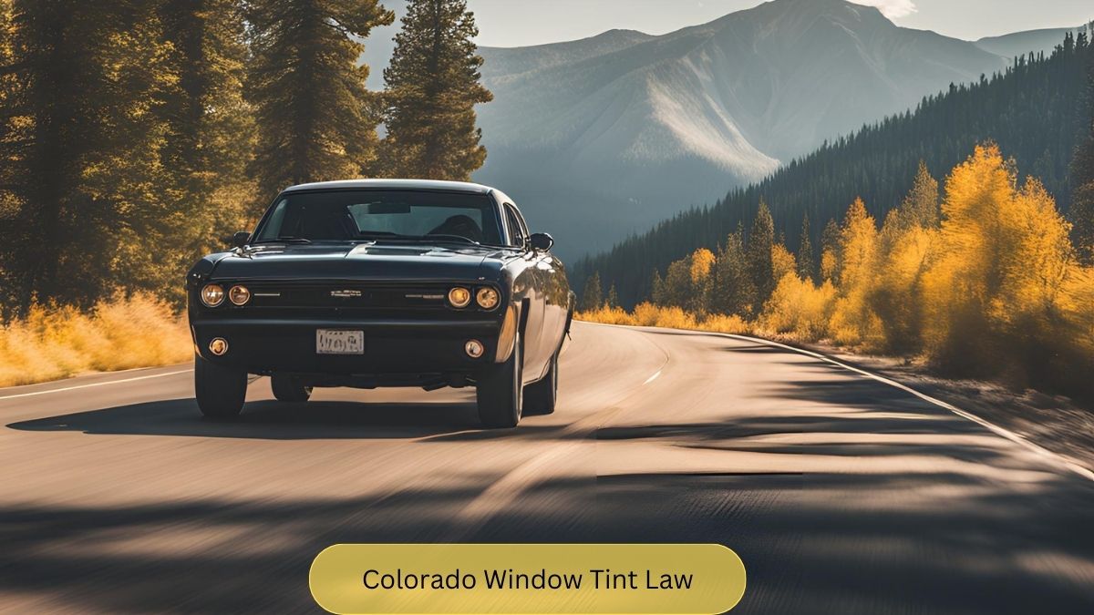 Colorado Window Tint Law - All You Need to Know